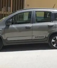Panda cross Panda cross