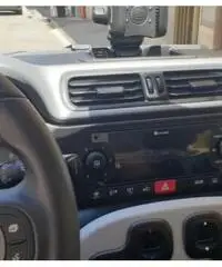 Panda cross Panda cross