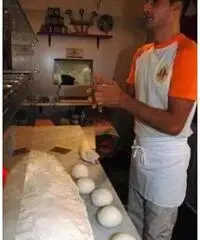 Pizzaiolo Pizzaiolo