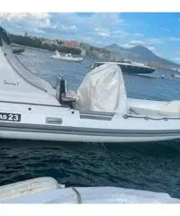Gommone Gruppo Mare con Motore Evinrude 250hp Gommone Gruppo Mare con Motore Evinrude 250hp