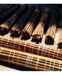Vendo canne di bambù bambu con diametro da 1 cm. fino a 10 cm. Vendo canne di bambù bambu con diametro da 1 cm. fino a 10 cm.