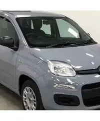 Fiat Panda 1.2 69cv S&S Easy E6D (KM0) Fiat Panda 1.2 69cv S&S Easy E6D (KM0)