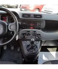 Fiat Panda 1.2 69cv S&S Easy E6D (KM0) Fiat Panda 1.2 69cv S&S Easy E6D (KM0)