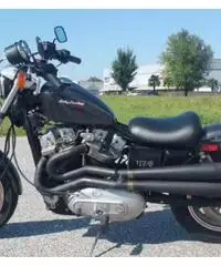 Harley-Davidson XR 1000 - 1983 Harley-Davidson XR 1000 - 1983