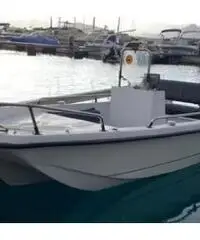Barca 4,5m motore evinrude 521cc2t 35C e carrello Barca 4,5m motore evinrude 521cc2t 35C e carrello