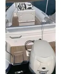 Gommone Pholas 23 con motore Evinrude 250 HP Gommone Pholas 23 con motore Evinrude 250 HP