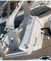 Gommone Pholas 23 con motore Evinrude 250 HP Gommone Pholas 23 con motore Evinrude 250 HP