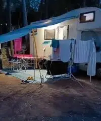 Si cede Si cede