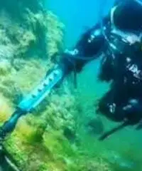 Metal detector Metal detector
