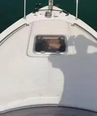 Saver 690 sport cabin