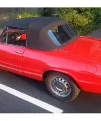 ALFA ROMEO Spider 1600 osso di seppia