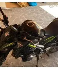 Z900 Performance Z900 Performance