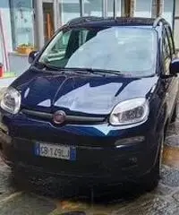 FIAT Panda 3ª serie - 2020 FIAT Panda 3ª serie - 2020