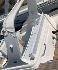 Gommone Pholas 23 con motore Evinrude 250 HP Gommone Pholas 23 con motore Evinrude 250 HP