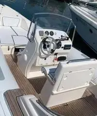 Gommone Pholas 23 con motore Evinrude 250 HP Gommone Pholas 23 con motore Evinrude 250 HP