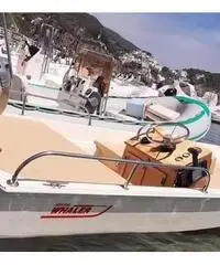 Barca Boston Whaler Barca Boston Whaler