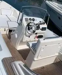 Gommone Pholas 23 con motore Evinrude 250 HP Gommone Pholas 23 con motore Evinrude 250 HP