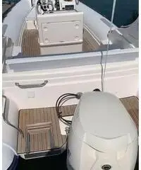 Gommone Pholas 23 con motore Evinrude 250 HP Gommone Pholas 23 con motore Evinrude 250 HP
