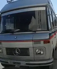 Camper usato Camper usato