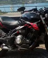 Benelli 302s ANNO 2020 Benelli 302s ANNO 2020