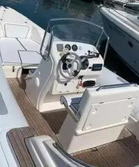 Gommone Pholas 23 con motore Evinrude 250 HP Gommone Pholas 23 con motore Evinrude 250 HP
