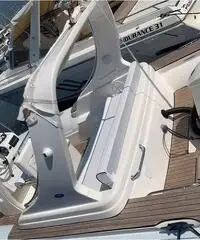 Gommone Pholas 23 con motore Evinrude 250 HP Gommone Pholas 23 con motore Evinrude 250 HP