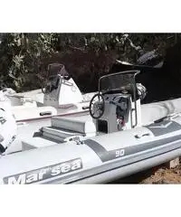 Marsea sp 90 Marsea sp 90