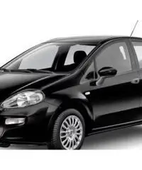 FIAT Punto 1.2 69 CV 5 porte Street FIAT Punto 1.2 69 CV 5 porte Street