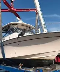 Grady White 330 Express + 2x350hp Yamaha (tutto 20 Grady White 330 Express + 2x350hp Yamaha (tutto 20