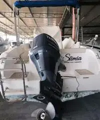 Barca Tecnofiber con motore Yamaha 150 hp