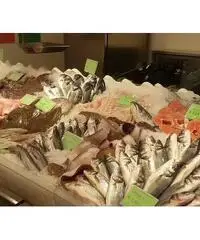 Addetto reparto pescheria Addetto reparto pescheria