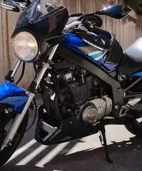 Suzuki GS 500 - 2005 Suzuki GS 500 - 2005