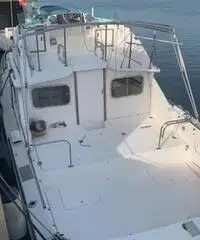 Bertram 28 Bertram 28