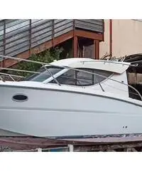 Sessa dorado 26 Sessa dorado 26