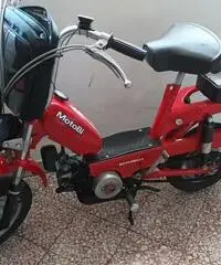 Motorella Motorella
