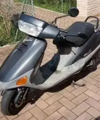 Motorino 50 Motorino 50