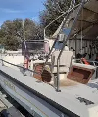 Barca sidra motore 737 jonson trimmer elettr