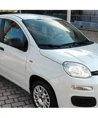 FIAT Panda Easy 1.2 Benz 69 CV FIAT Panda Easy 1.2 Benz 69 CV