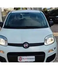 FIAT Panda Easy 1.2 Benz 69 CV FIAT Panda Easy 1.2 Benz 69 CV