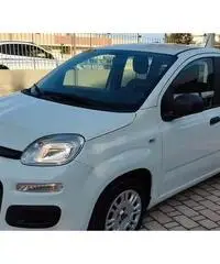 FIAT Panda Easy 1.2 Benz 69 CV FIAT Panda Easy 1.2 Benz 69 CV