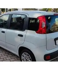 FIAT Panda Easy 1.2 Benz 69 CV FIAT Panda Easy 1.2 Benz 69 CV