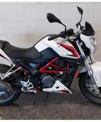 Benelli BN 251 Benelli BN 251