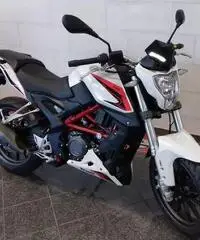 Benelli BN 251 Benelli BN 251