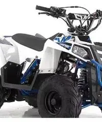 Quad commnader 110 apollo motors garanzia 12 mesi Quad commnader 110 apollo motors garanzia 12 mesi