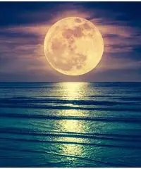 Cerco compagna Cerco compagna