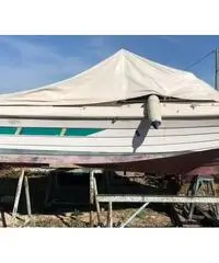 Pilotina gobbi 5.50 Pilotina gobbi 5.50