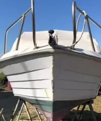 Pilotina gobbi 5.50 Pilotina gobbi 5.50