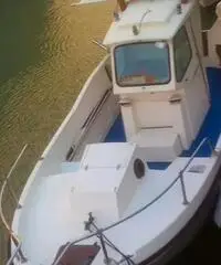 Pilotina Murena + Vetus 20hp all'ormeggio Pilotina Murena + Vetus 20hp all'ormeggio