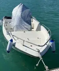 Motore fuoribordo 25 cv evenrude e-tec Motore fuoribordo 25 cv evenrude e-tec