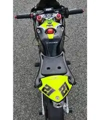Minimoto DM